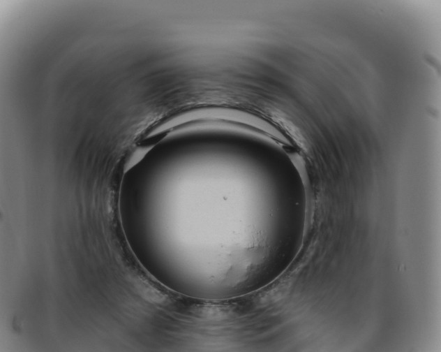 X0000096470305200801311540