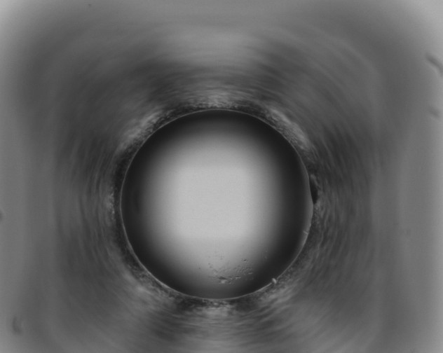 X0000096470306200801311540