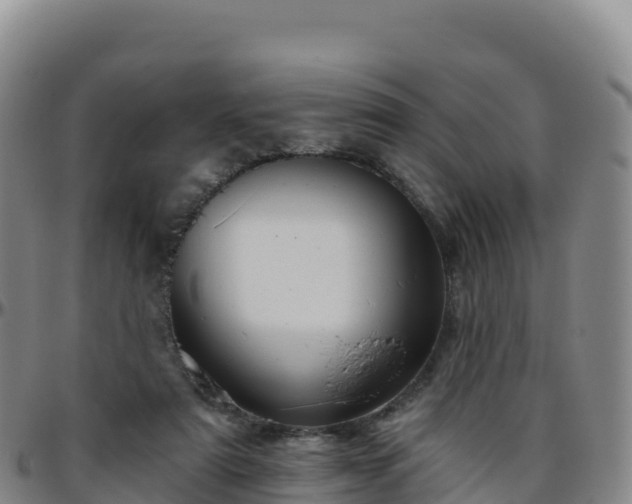 X0000096470307200801311540