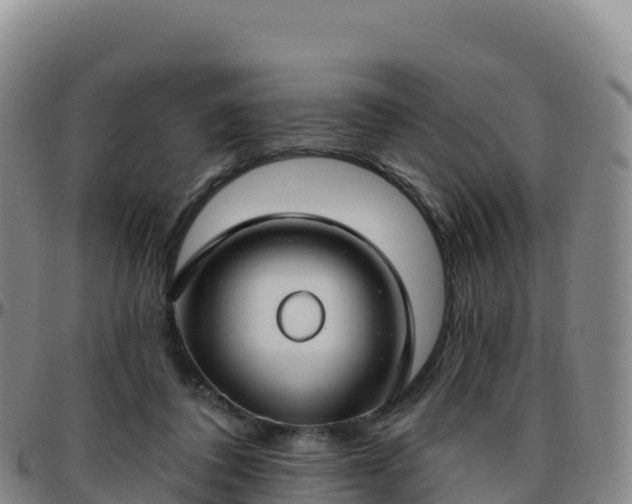 X0000096470308200801311540