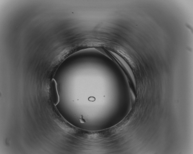 X0000096470309200801311540