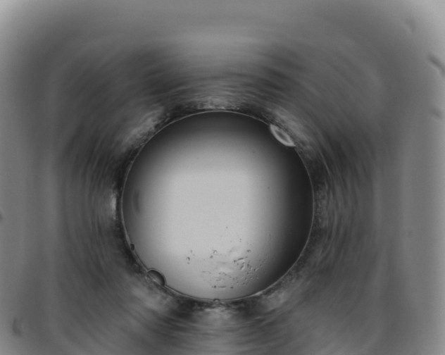 X0000096470310200801311540