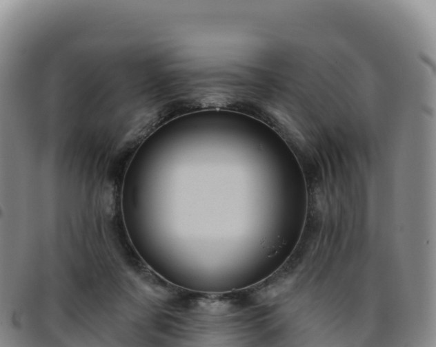 X0000096470311200801311540
