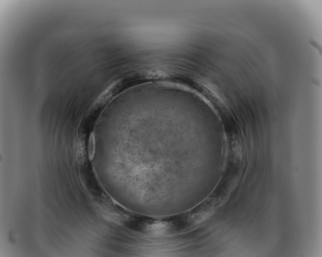 X0000096470312200801311540