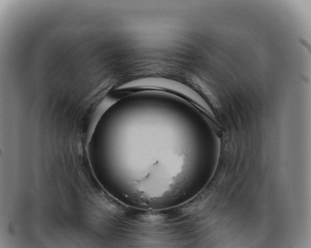 X0000096470313200801311540