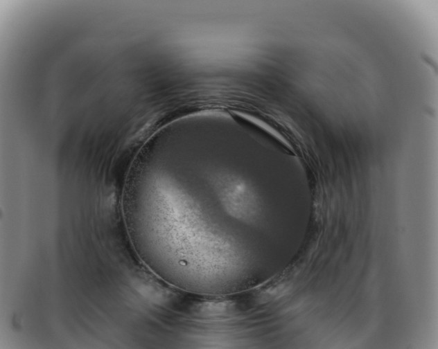 X0000096470314200801311540