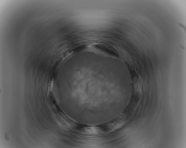 X0000096470316200801311540