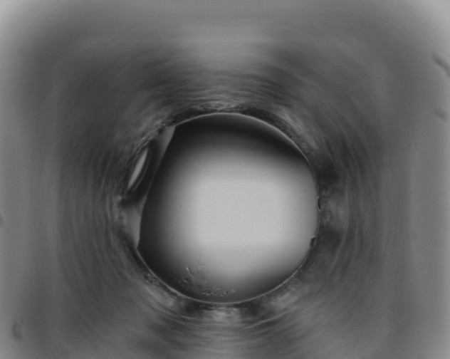 X0000096470317200801311540