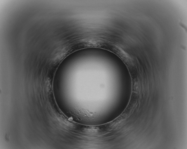 X0000096470318200801311540