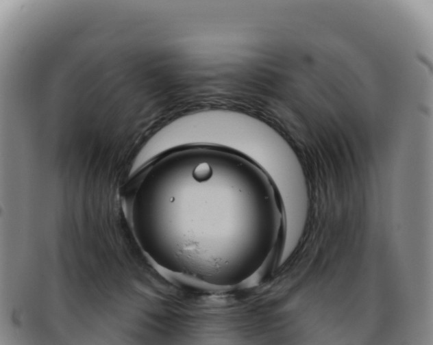 X0000096470320200801311540