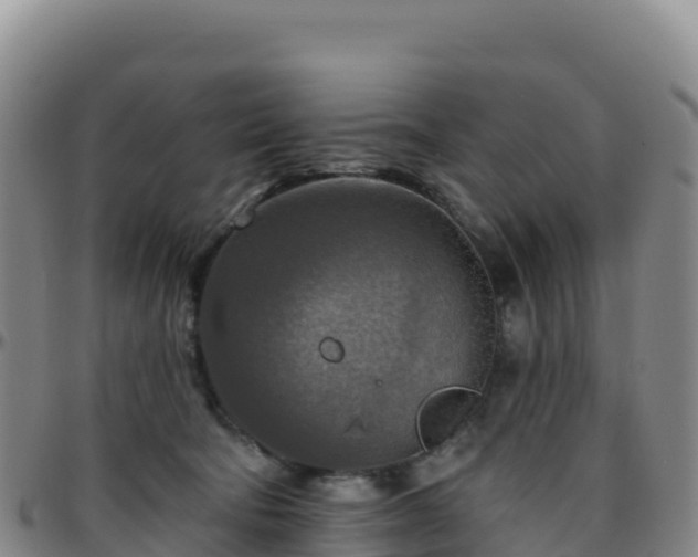 X0000096470322200801311540