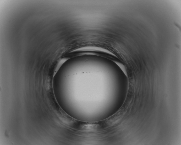 X0000096470323200801311540