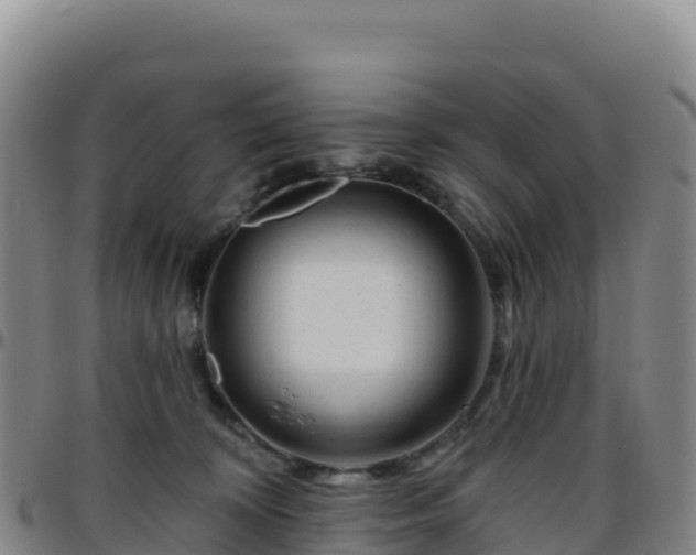 X0000096470324200801311540