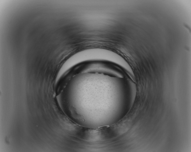 X0000096470325200801311540