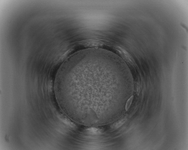 X0000096470326200801311540