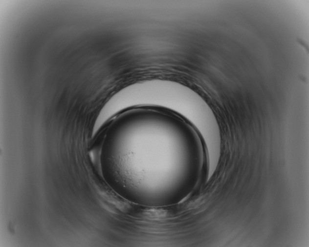 X0000096470328200801311540