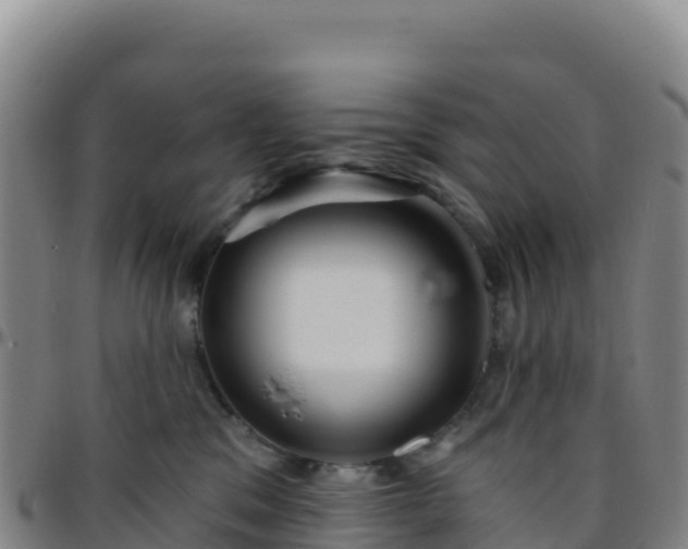 X0000096470329200801311540