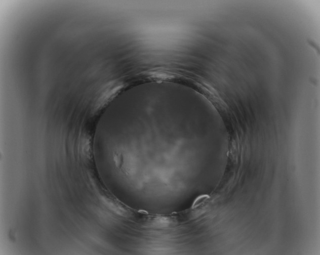 X0000096470330200801311540