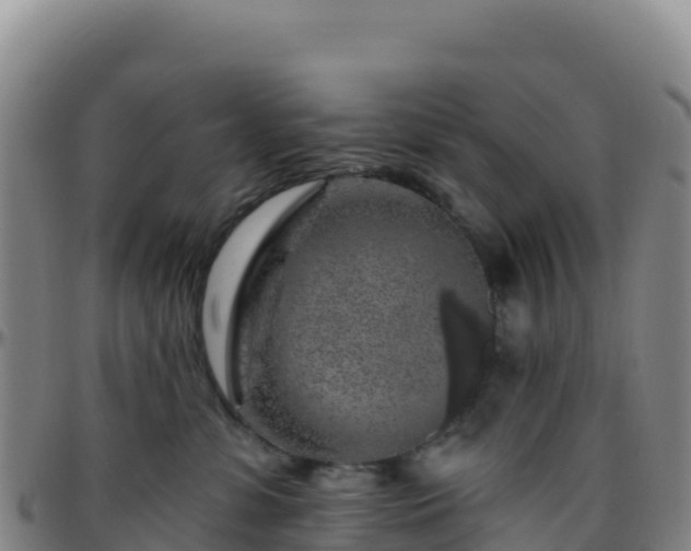 X0000096470331200801311540