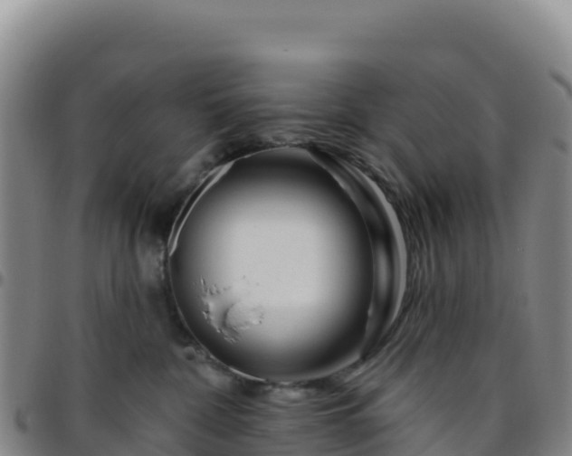 X0000096470332200801311540