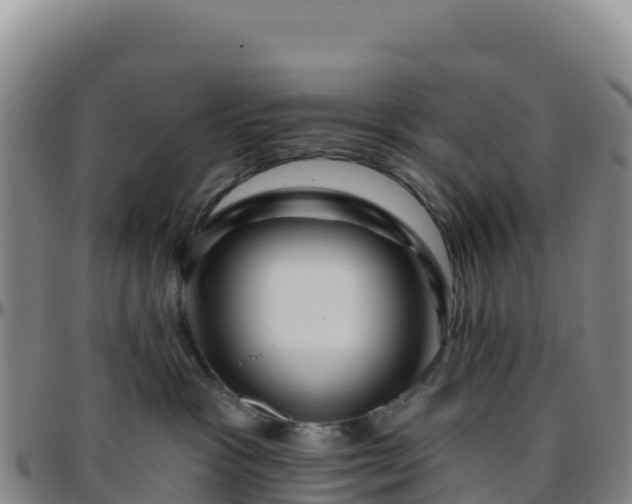 X0000096470333200801311540