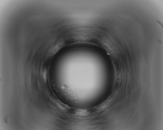 X0000096470334200801311540