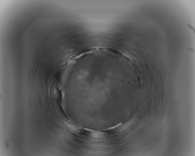X0000096470336200801311540