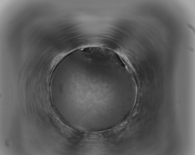 X0000096470337200801311539