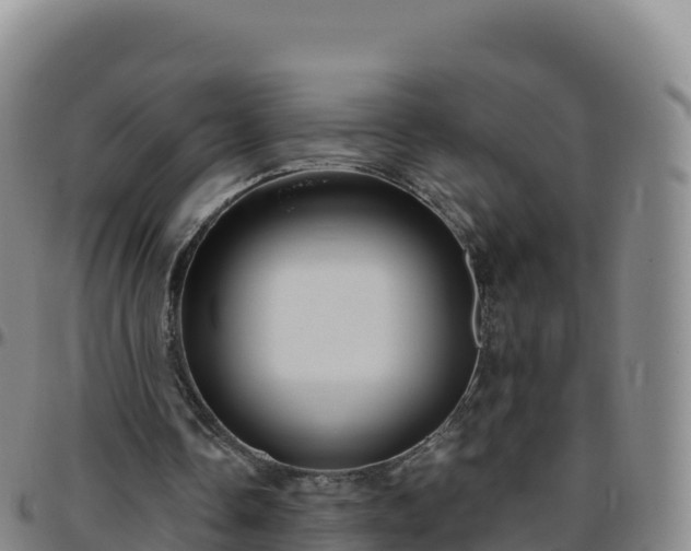 X0000096470338200801311539