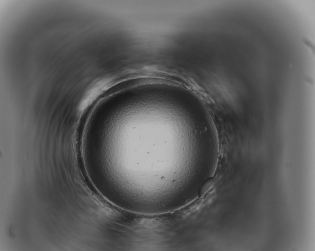 X0000096470341200801311539