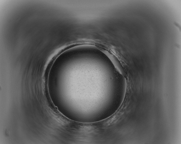X0000096470342200801311539