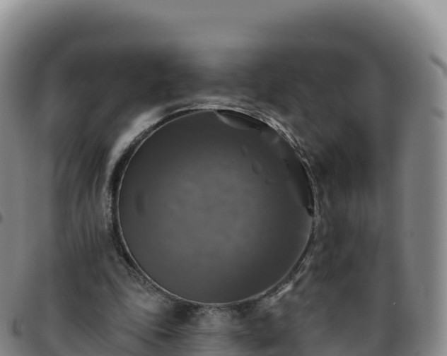 X0000096470343200801311539