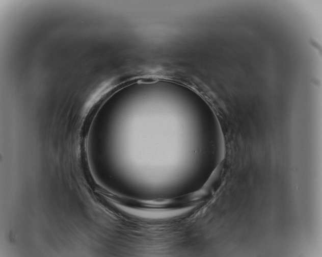 X0000096470344200801311539