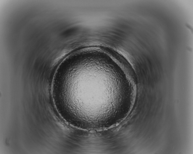 X0000096470345200801311539