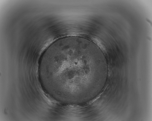 X0000096470346200801311539