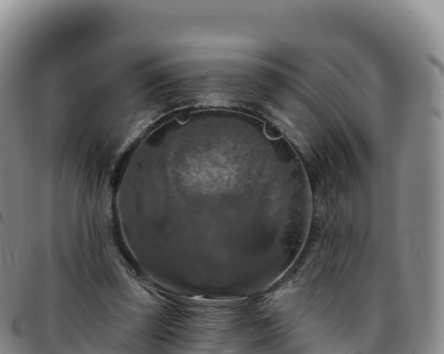 X0000096470347200801311539