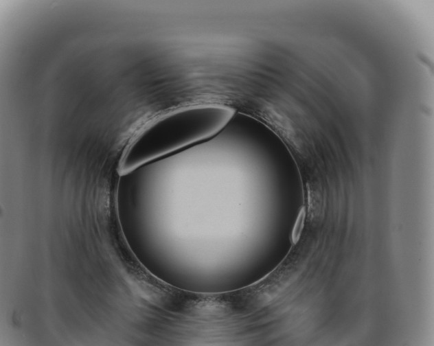 X0000096470348200801311539