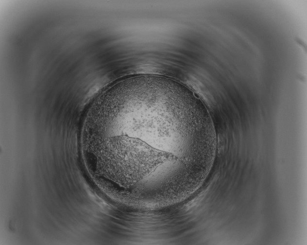 X0000096470349200801311539