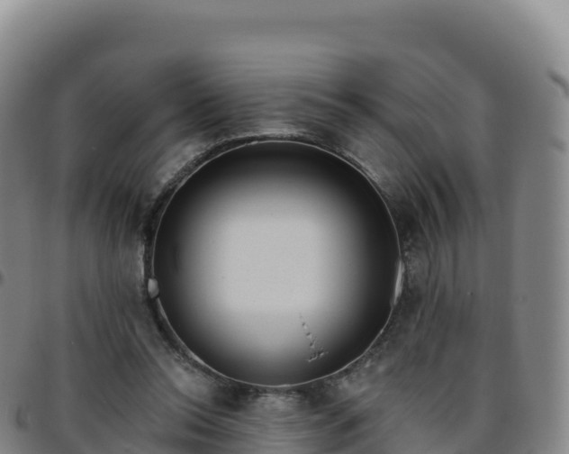 X0000096470350200801311539
