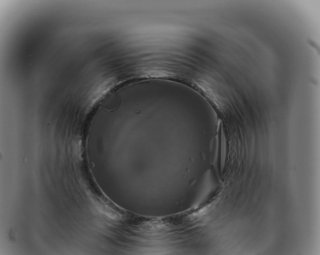 X0000096470351200801311539