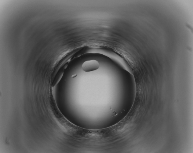 X0000096470352200801311539