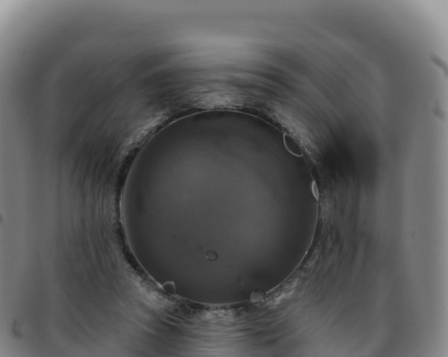 X0000096470353200801311539