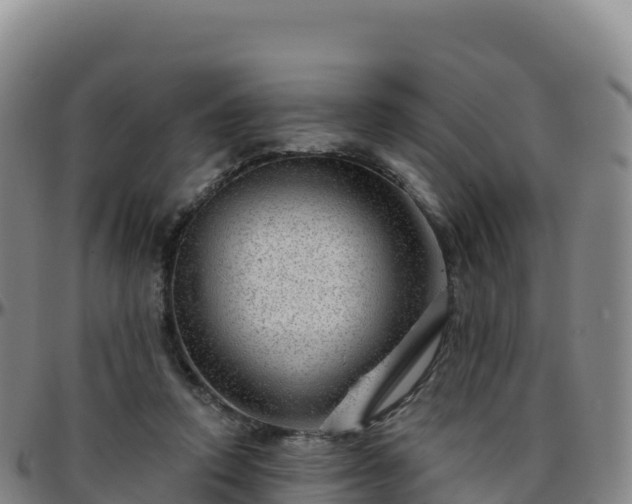 X0000096470354200801311539