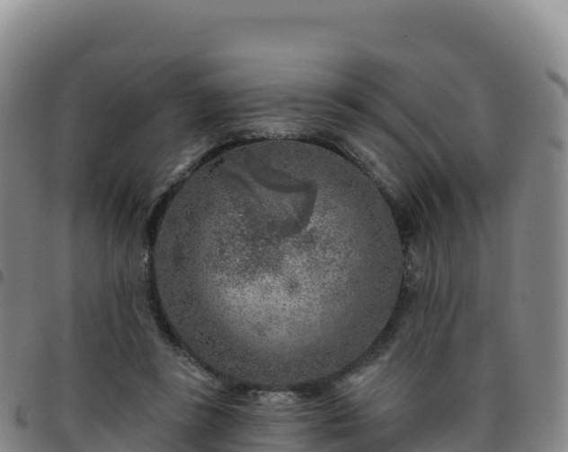 X0000096470355200801311539