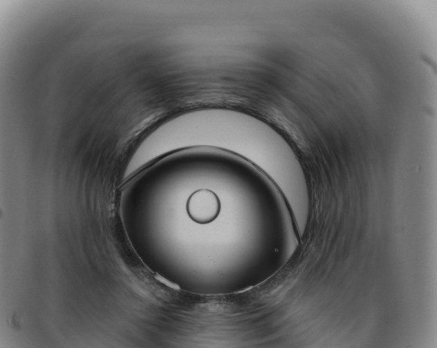 X0000096470356200801311539