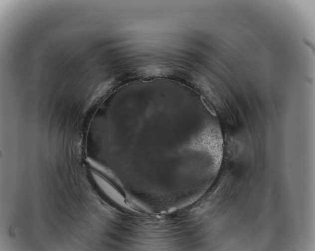 X0000096470357200801311539
