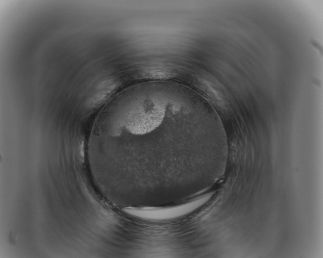 X0000096470358200801311539