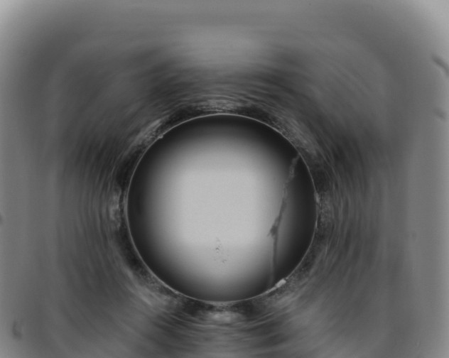 X0000096470360200801311539