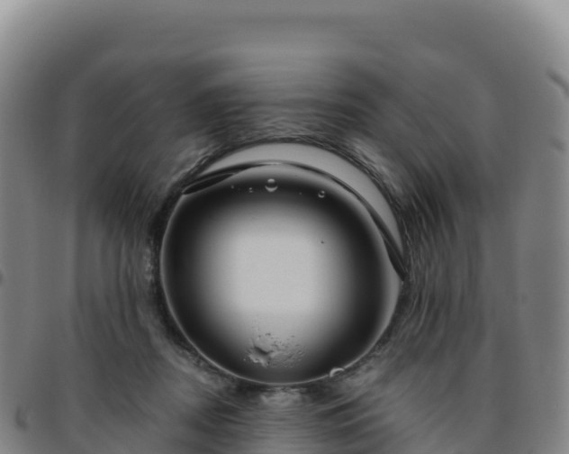 X0000096470362200801311539