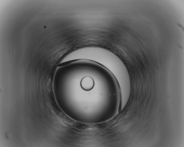 X0000096470364200801311539